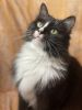 Margo (39)